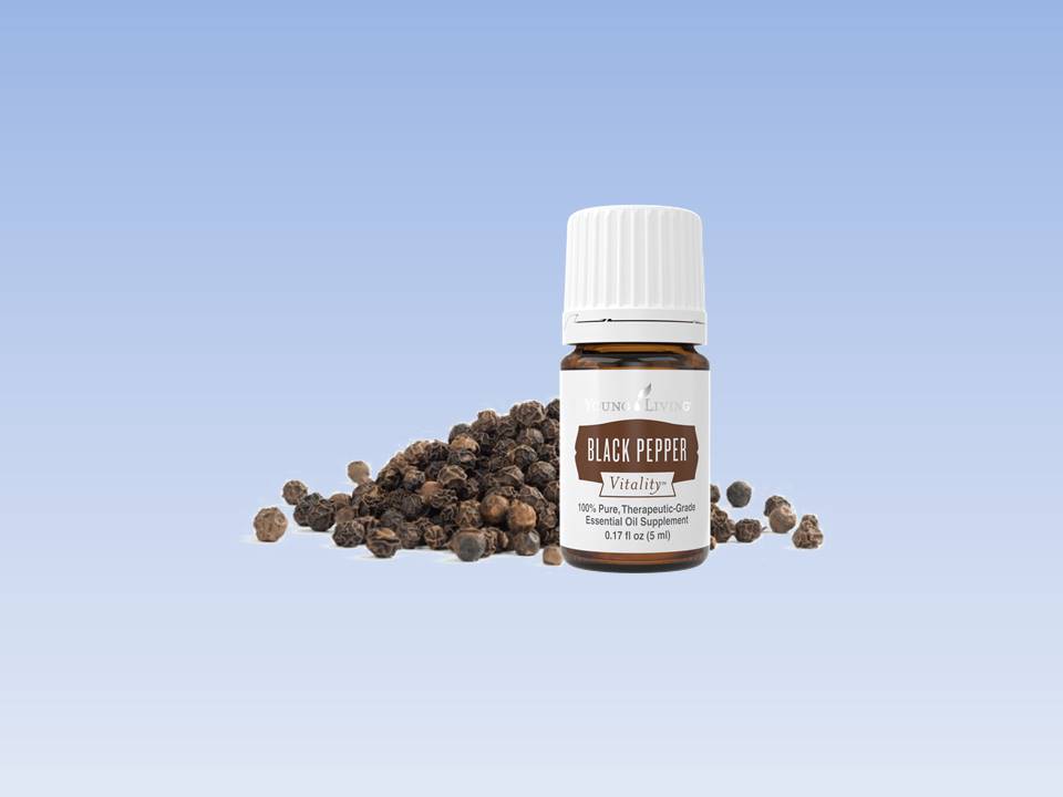 The Effect of Black Pepper Essential Oil in Relieving Colitis Okc